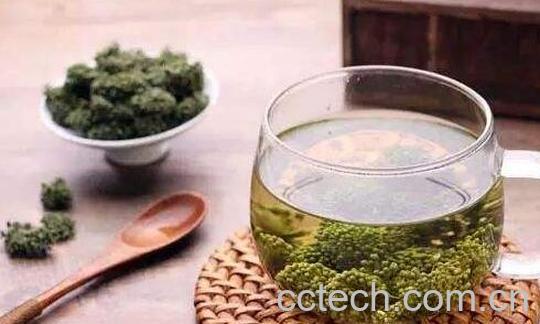 三七花泡水喝的副作用-1