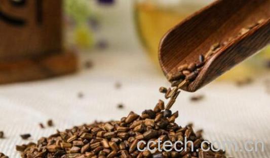 决明子的危害有哪些-1