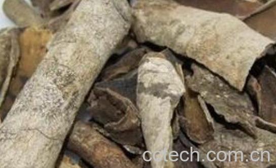 救必应的功效与作用-1