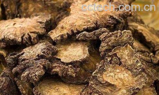 川芎长期服用的副作用-0