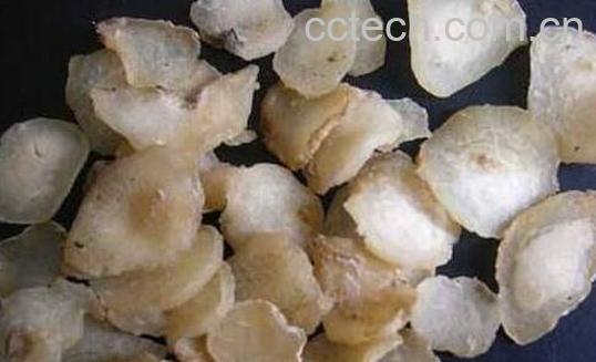 姜半夏和法半夏的区别 半夏的分类-1