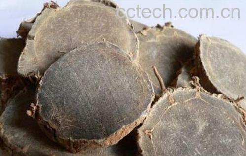 莪术油的功效与作用-1