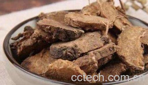 醋莪术的功效与作用及药用价值-1