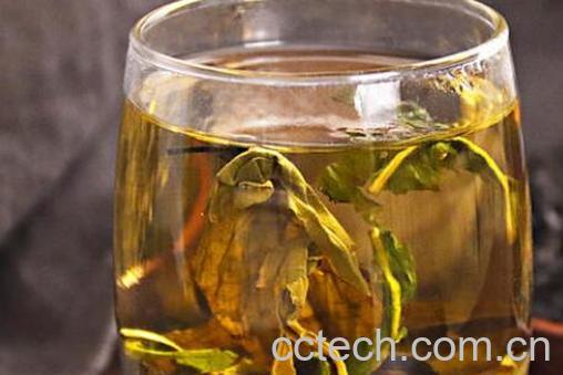 杜仲泡水喝的功效与作用-0