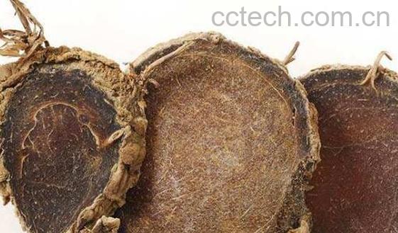 醋莪术的功效与作用及药用价值-0