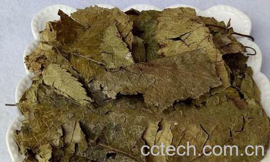 杜仲叶的作用与功效-0