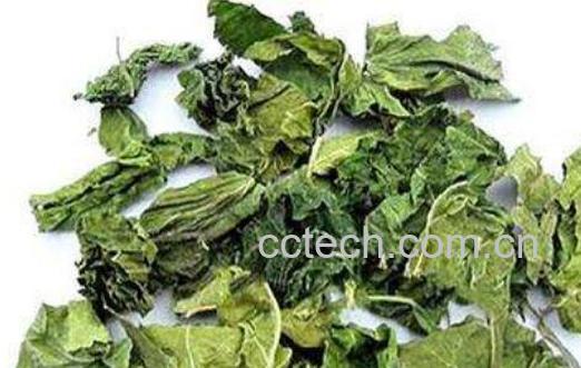 杜仲叶的作用与功效-1