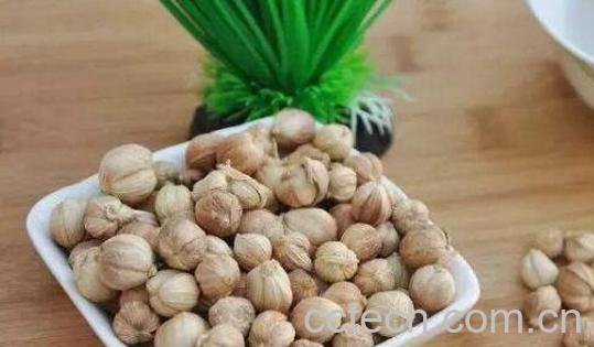 白豆蔻的功效与作用及副作用-0