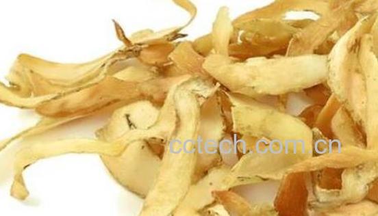 玉竹泡水喝的五大禁忌-1