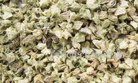 蒺藜的功效与作用 蒺藜的副作用-0