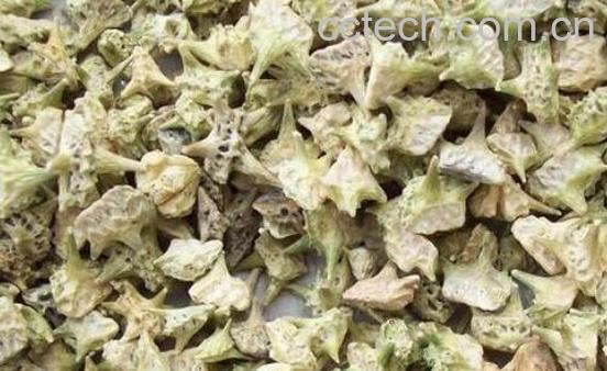 女人喝蒺藜的好处与功效-1