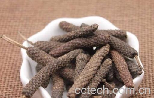 荜茇与荜澄茄的区别-1