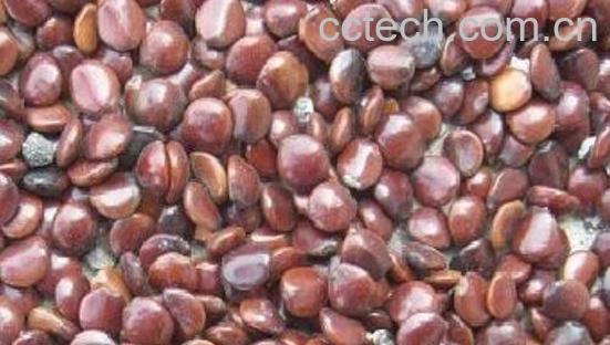 北枳鹤拥墓πв胱饔-1