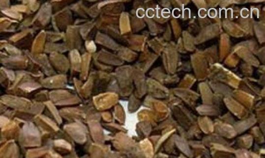 茺蔚子的功效与作用 茺蔚子的副作用与禁忌-0