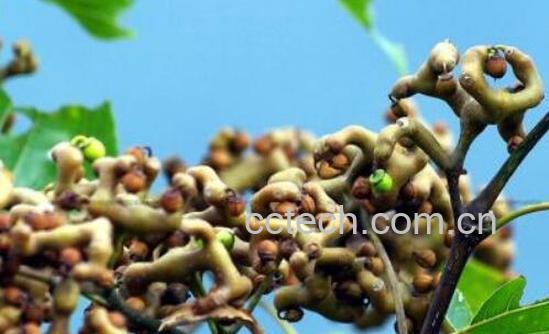 枳鹤拥墓πв胱饔眉笆秤梅椒-0