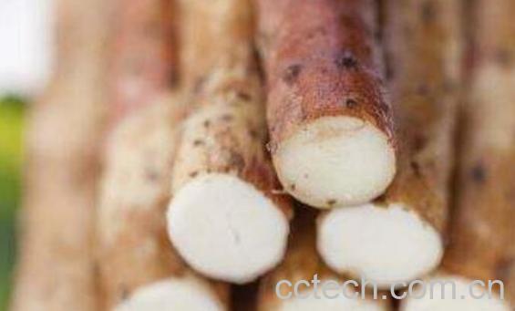 葛根山药泡水喝的作用与功效-0