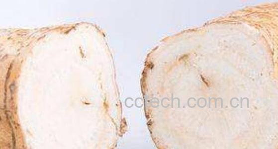 紫葛根泡水喝的七大功效-1