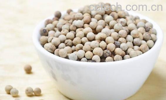 胡椒根和胡椒的区别-1