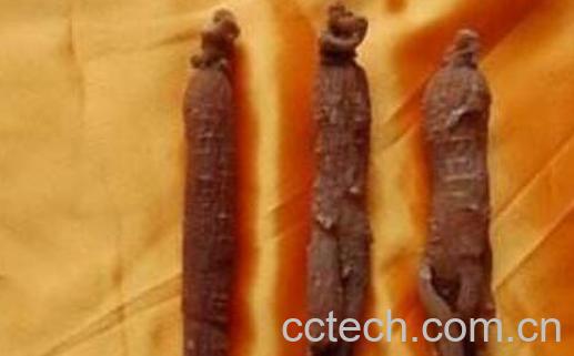 韩国红参的功效与作用-0