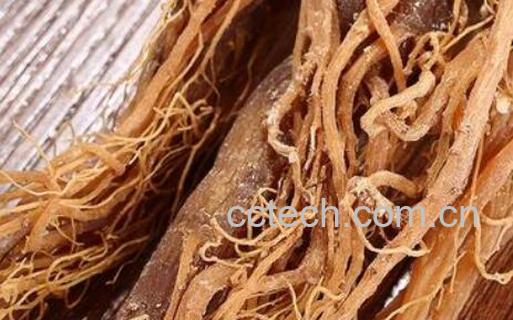 红参根须的功效和禁忌-1