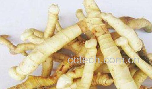 玉竹的副作用和毒性-1