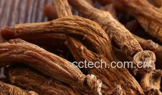 红参根的功效与作用 红参怎么吃-1