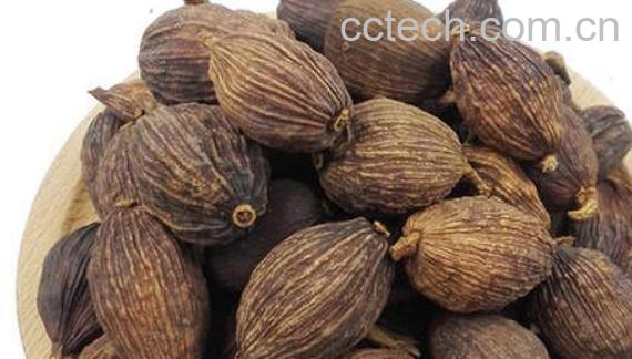 草果和香果使用的区别-1