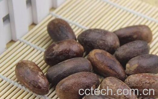 草果和香果使用的区别-0