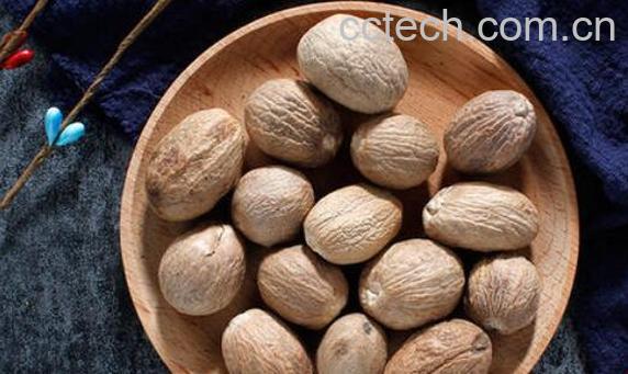 肉蔻和草果的区别-1