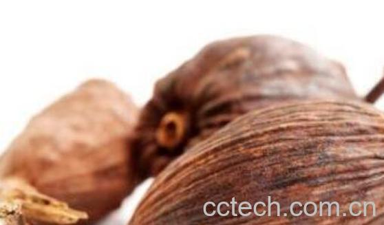 肉蔻和草果的区别-0