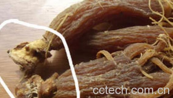 红参头有什么功效 红参头泡水功效与禁忌-0