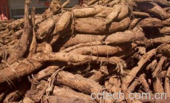 干葛根的功效与作用及食用方法-1