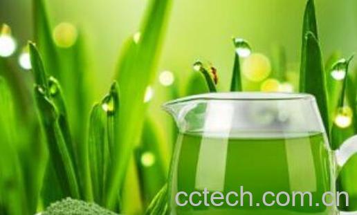 大麦青汁怎么喝 大麦青汁的正确喝法-1