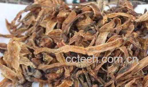 地龙干怎么吃 地龙干的食用方法-0