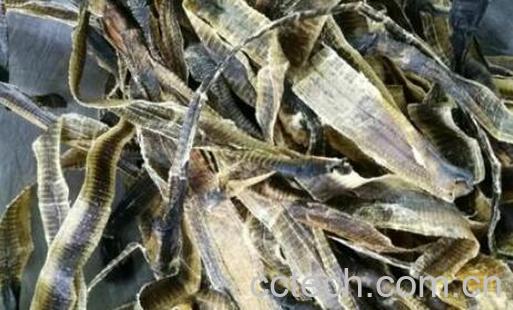 地龙干怎么吃 地龙干的食用方法-1