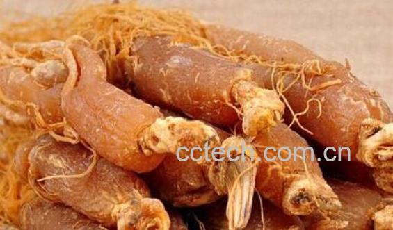 长期喝红参对女人的好处-1