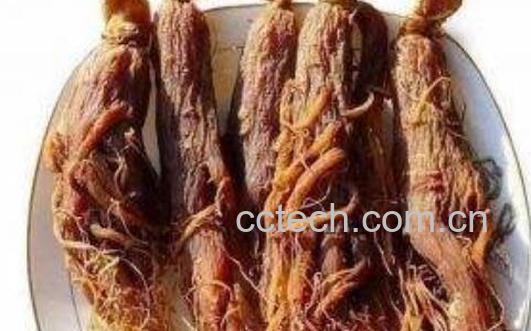 不适合吃红参的人群有哪些 吃红参的禁忌-1