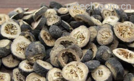 烫枳实的功效与用途-1