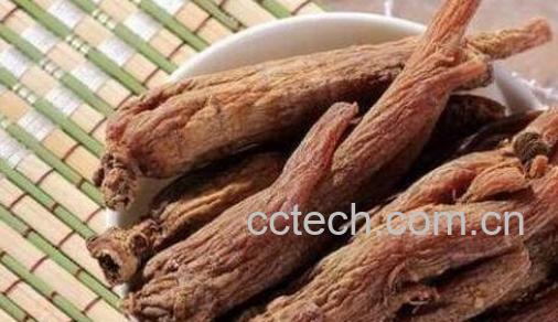 红参的功效与作用及禁忌有哪些-0