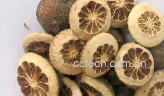 枳实竹茹的功效与作用-1