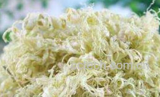 竹茹和芦根的功效与作用-0