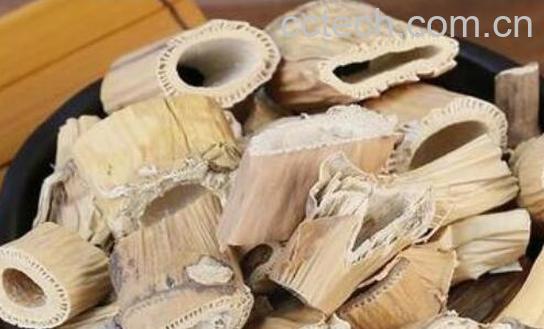 竹茹和芦根的功效与作用-1