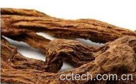 甜苁蓉和肉苁蓉的区别 甜苁蓉的功效-1