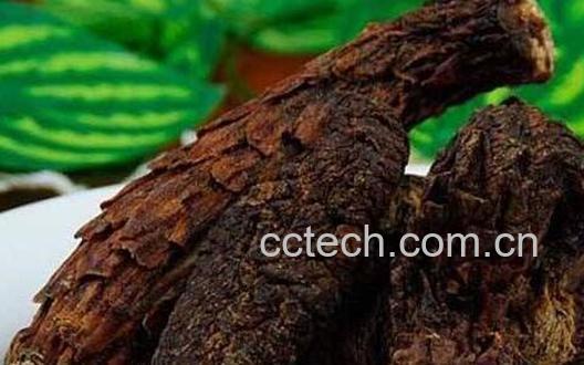 肉苁蓉怎么食用最佳-0