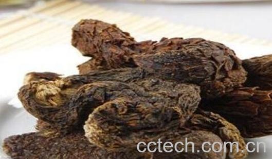 肉苁蓉怎么食用最佳-1