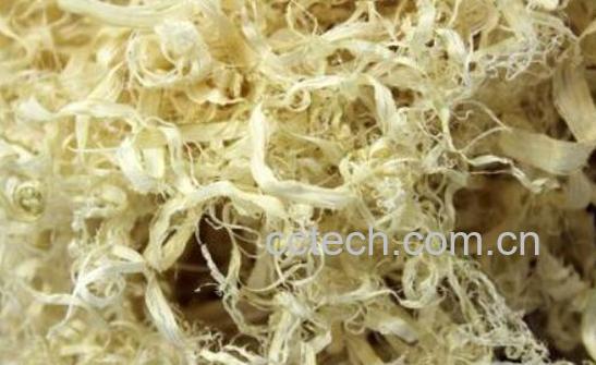 竹茹的功效与作用 竹茹的副作用-1