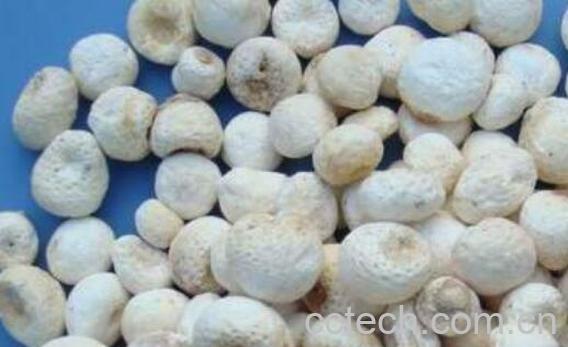 秫米半夏的功效与作用-1