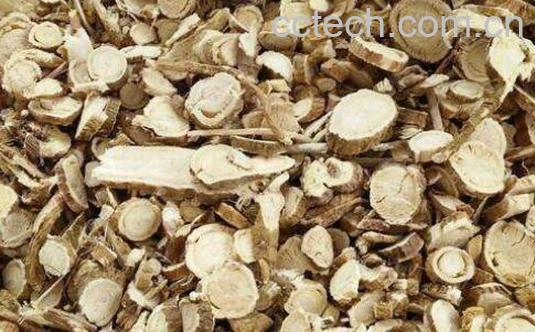 苦参内服的功效与作用-0