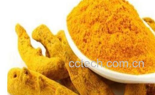 姜黄的功效与作用 姜黄的副作用和禁忌-1