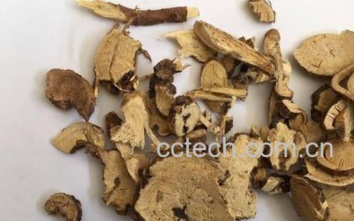 苦参内服的功效与作用-1